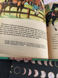 Vintage 1952 Black Beauty Retold for Little Children Wonder Books Hardcover