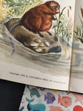 Vintage 1949 1st Printing Cattail House by Phoebe Erickson Hardcover