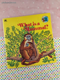 Vintage 1975 What is a Mammal? Golden Look-Look Softcover, Like New