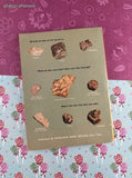Vintage 1962 1st Scholastic Printing Rocks All Around Us TW314 Softcover