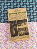 Vintage 1966 1st Bantam Printing Born Free: The Incredible Story of Elsa the Lioness Softcover