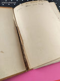 Vintage 1916 Whitman Publishing Timid Hare by Mary H. Wade Hardcover