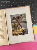 Vintage 1916 Whitman Publishing Timid Hare by Mary H. Wade Hardcover