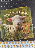 Vintage 1970's/ 1980's The Little Rabbit, Goat, Lamb, Duck Set/4 Softcovers