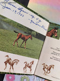 Vintage 1965 Whitman Tell-A-Tale Books, Pony, Hardcover