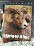 Vintage 1980's & 1990's Ranger Rick Magazines Set/12, No Duplicates