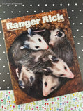 Vintage 1980's & 1990's Ranger Rick Magazines Set/12, No Duplicates
