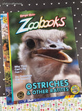 2019 - Recent Ranger Rick/Zoobooks Magazine Set/9, No Duplicates