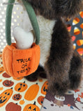 Vintage 2004 Boyds Bears Trixie B. Barken Halloween Puppy Dog Plush w/Bag & Witch Hat, Like New