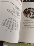 Vintage 1981 The Patchwork Cat by Nicola Bayley & William Mayne Hardcover