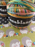 Casablanca 100% Nylon Color 05 Lot 07 Rainbow Set/3 Skeins of Yarn NEW