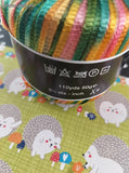 Casablanca 100% Nylon Color 05 Lot 07 Rainbow Set/3 Skeins of Yarn NEW