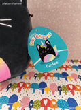 Original Squishmallows Caylee the Rainbow Kitty Cat KellyToy 8" Plush NWT