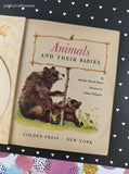 Vintage 1959 1st Printing Little Golden Book: Animals and Their Babies Hardcover