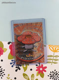 Vintage 1999 Black Label TV Animation Edition Oddish Evolutions Holographic Pokemon Cards Set/3 - NM