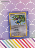 Vintage Common - Chatot Diamond & Pearl Non-Holo Pokemon Card 74/130 - NM