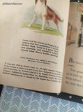 Vintage 1956 1st Printing Little Golden Book: Lassie Shows the Way Hardcover