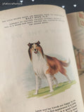 Vintage 1956 1st Printing Little Golden Book: Lassie Shows the Way Hardcover