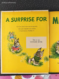 Vintage 1953 A Surprise for Mrs. Bunny Wonder Books Hardcover