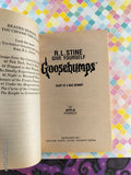 Vintage 1996 1st Printing Diary of a Mad Mummy #10 Give Yourself Goosebumps Softcover