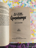 Vintage 1996 1st Printing Diary of a Mad Mummy #10 Give Yourself Goosebumps Softcover