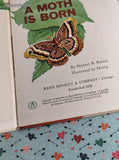 Vintage 1967 Rand McNally BIG Edition A Moth is Born, Hardcover