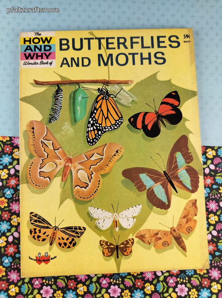 Vintage 1963 Butterflies and Moths How & Why Wonder Book Softcover