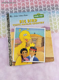 Vintage 1993 Little Golden Book: Sesame Street Big Bird Visits Navajo Country Hardcover