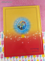 2009 (Hindi) One Light, Many Lamps by Radha Soami Satsang Oversized Hardcover, Like New