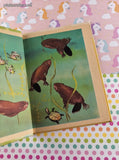 Vintage 1963 Rand McNally Junior Elf Books, Little Beaver, Hardcover