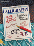 Vintage 1990 Calligraphy From Beginner to Expert an Usborne Guide Softcover
