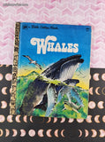 Vintage 1978 Little Golden Book: Whales Hardcover