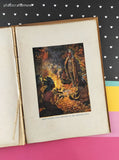 Vintage 1916 Whitman Publishing Timid Hare by Mary H. Wade Hardcover
