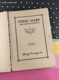 Vintage 1916 Whitman Publishing Timid Hare by Mary H. Wade Hardcover