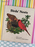 Vintage 1985 1st Printing Birds' Nests Troll Associates Oversized Illustrated Hardcover