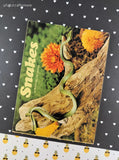 Vintage 1973 Snakes by Ruth Belov Gross Scholastic Book Services Softcover