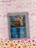 Vintage Uncommon - Piloswine HGSS Triumphant Reverse Holo Pokemon Card 48/102 - NM
