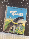 Vintage 1978 Little Golden Book: Whales Hardcover