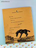 Vintage 1969 Flip by Wesley Dennis TJ368 Scholastic Book Services Softcover