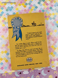 Vintage 1964 5th Printing Blue Ribbons for Meg TX159 Scholastic Book Services Softcover