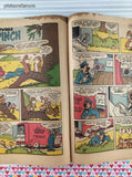 Vintage Walt Disney's Chip 'n' Dale Mar-May 1962 #29 Dell Comic, PR w/Bag & Board