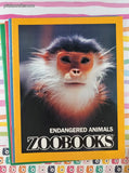 Vintage Zoobooks + Zoobooks 2 Children's Magazines Set/9, No Duplicates