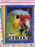 Vintage Zoobooks + Zoobooks 2 Children's Magazines Set/9, No Duplicates