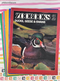 Vintage Zoobooks + Zoobooks 2 Children's Magazines Set/9, No Duplicates