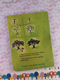 Vintage 1966 4th Printing Johnny Appleseed by Eva Moore TW637 Scholastic Book Services Softcover