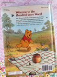 2017 Disney's Winnie the Pooh 5-Minute Stories Oversized Hardcover, Like New