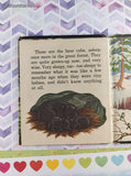 Vintage 1954 Whitman Tell-A-Tale, Walt Disney's Bear Country Miniature Hardcover