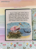 Vintage 1955 Whitman Tell-A-Tale, Walt Disney's True-Life Adventures: Water Birds Miniature Hardcover