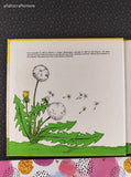 Vintage 1962 Seeds by Wind and Water Let's-Read-and-Find-Out Science Hardcover