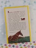 Vintage 1979 Fun to Read Horse Stories by Violet & Bill Case Softcover